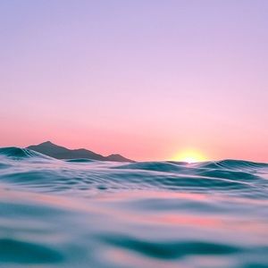 Meet your Posher, Brooklyn